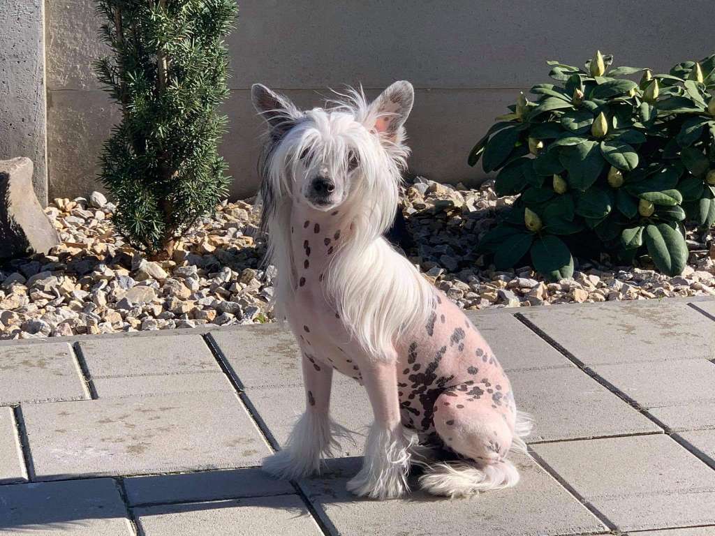 Marilyn Monroe Iz Serebryanogo Raya