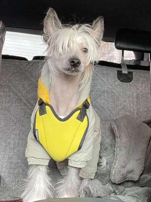 Ksolo Club Zapadnuy Veter