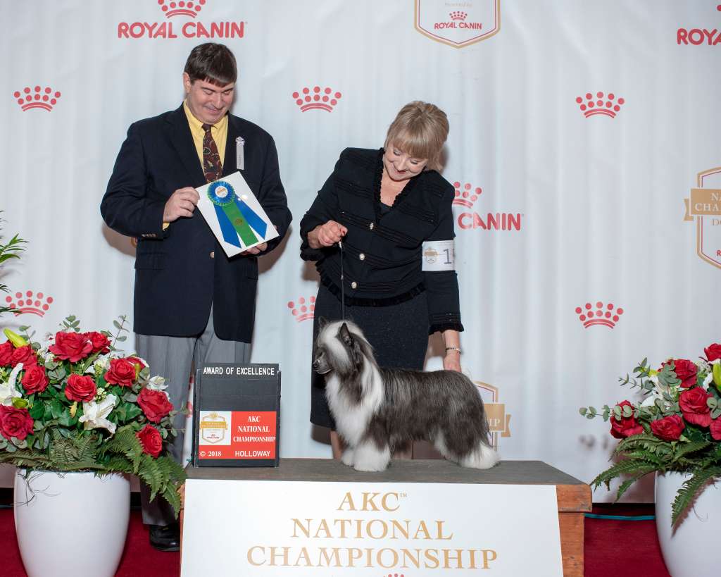 Orenda Viva Herald Your Fame