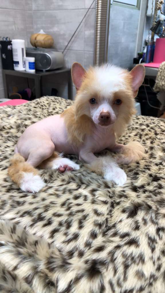 Nicole Kidman Caramella's Family