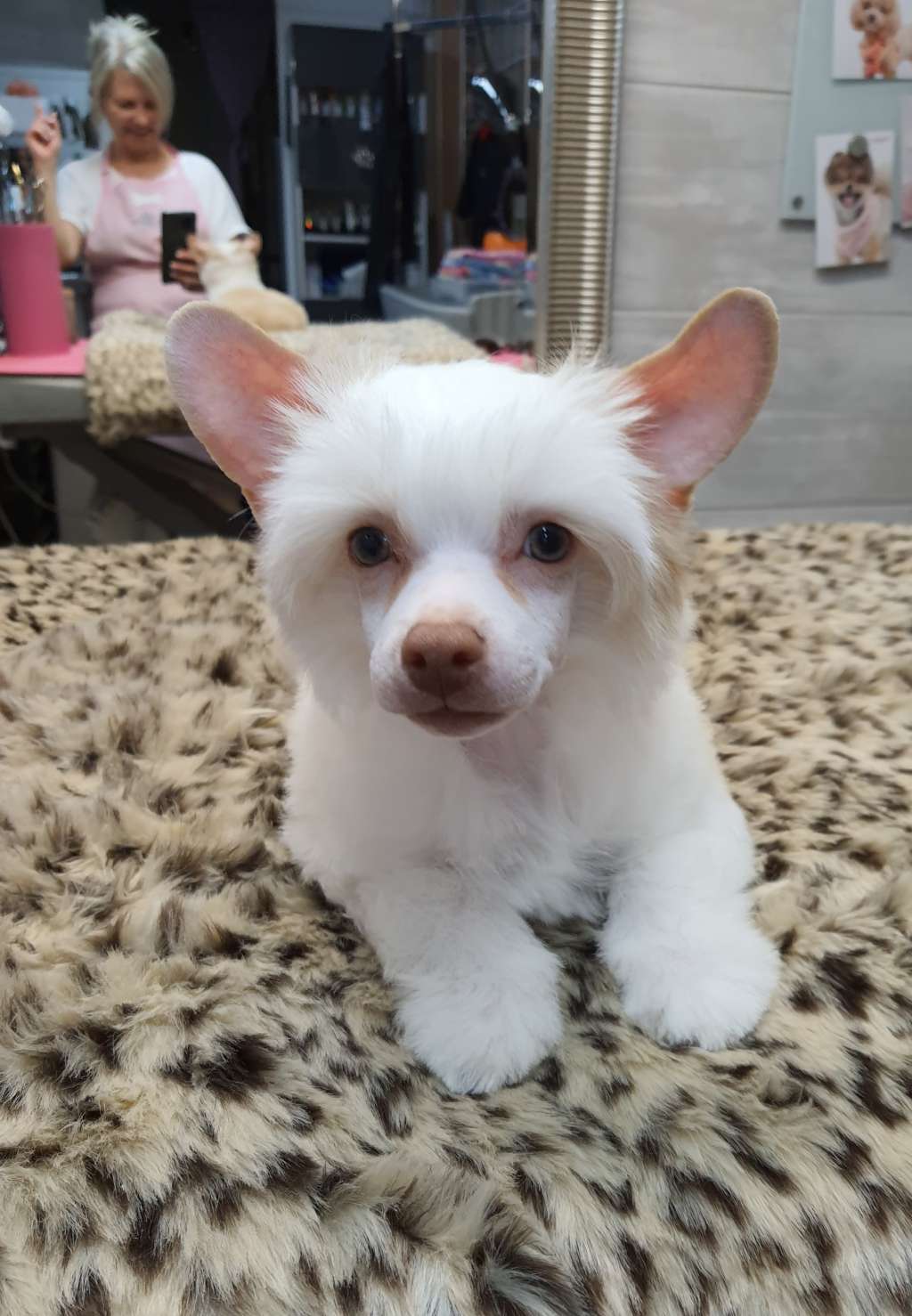 NABUCCO Caramella's Family