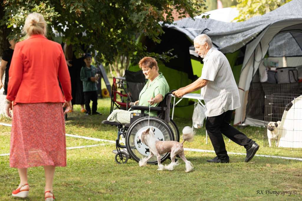 HitLine Ltd Excalibur For Beyesa