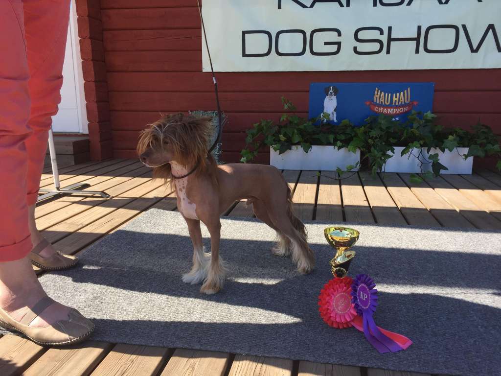 Allegranden Isao Yoshi Kichiro