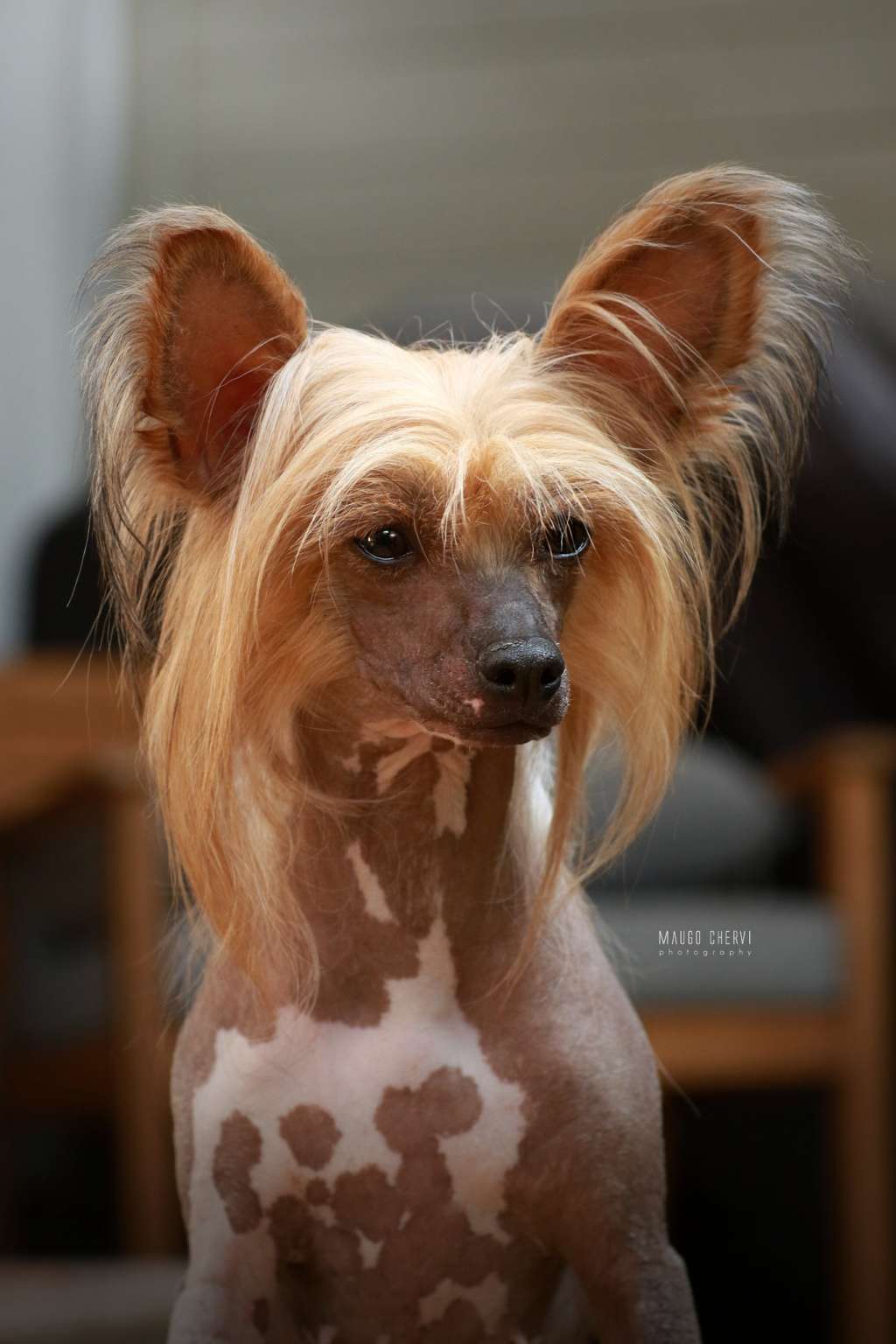 Dior Insolite Familier