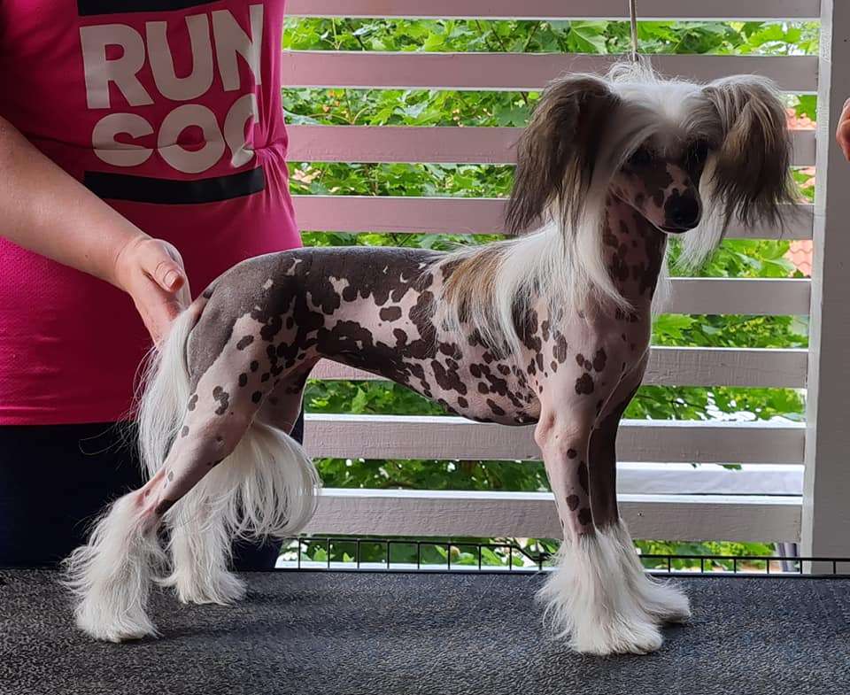 Tapi-Tapi Niiskuneiti