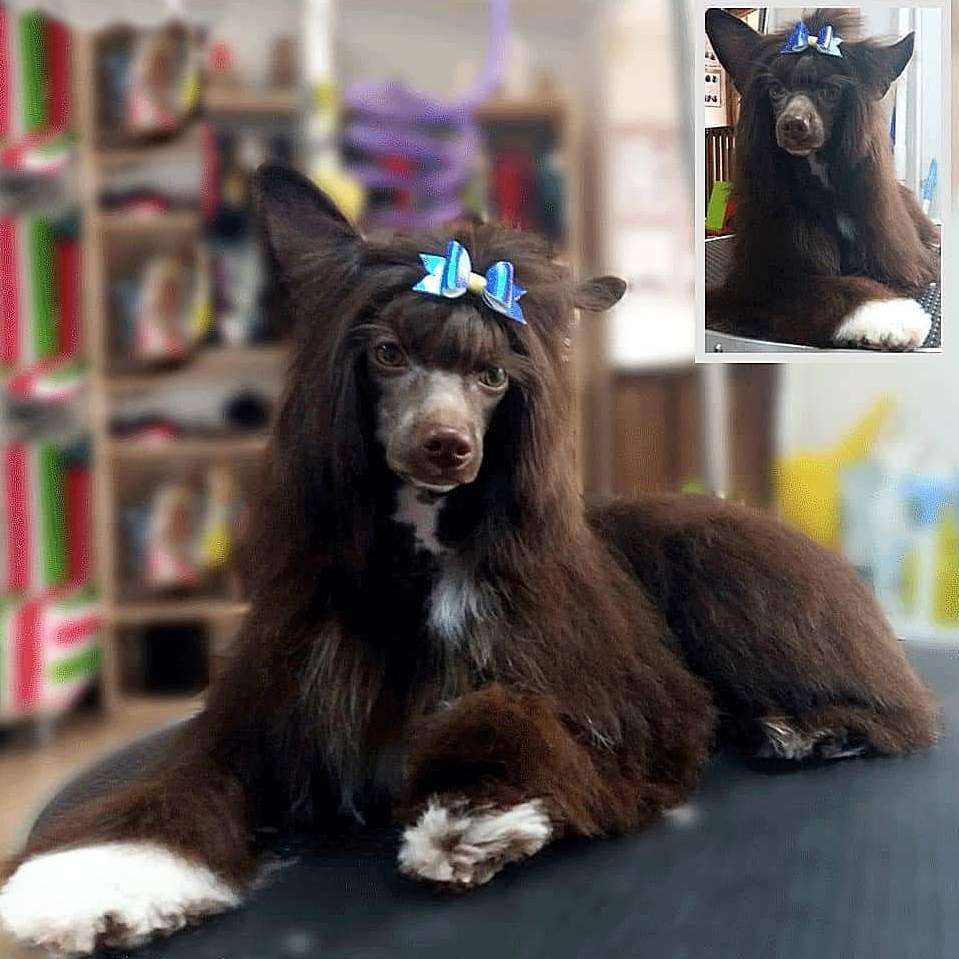 Kiy Legendarnyy El Tiola