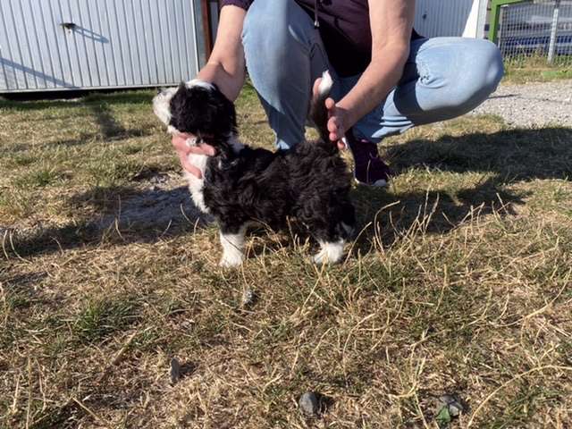 Rebel Without A Cause