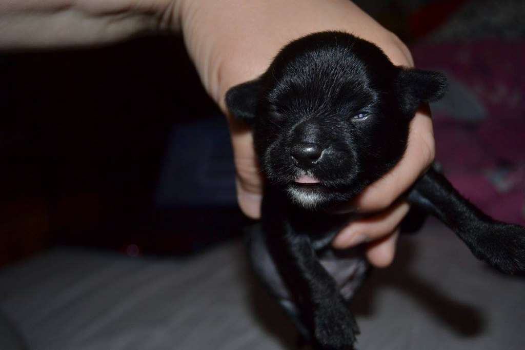 Nightstorms Call Me Maybe