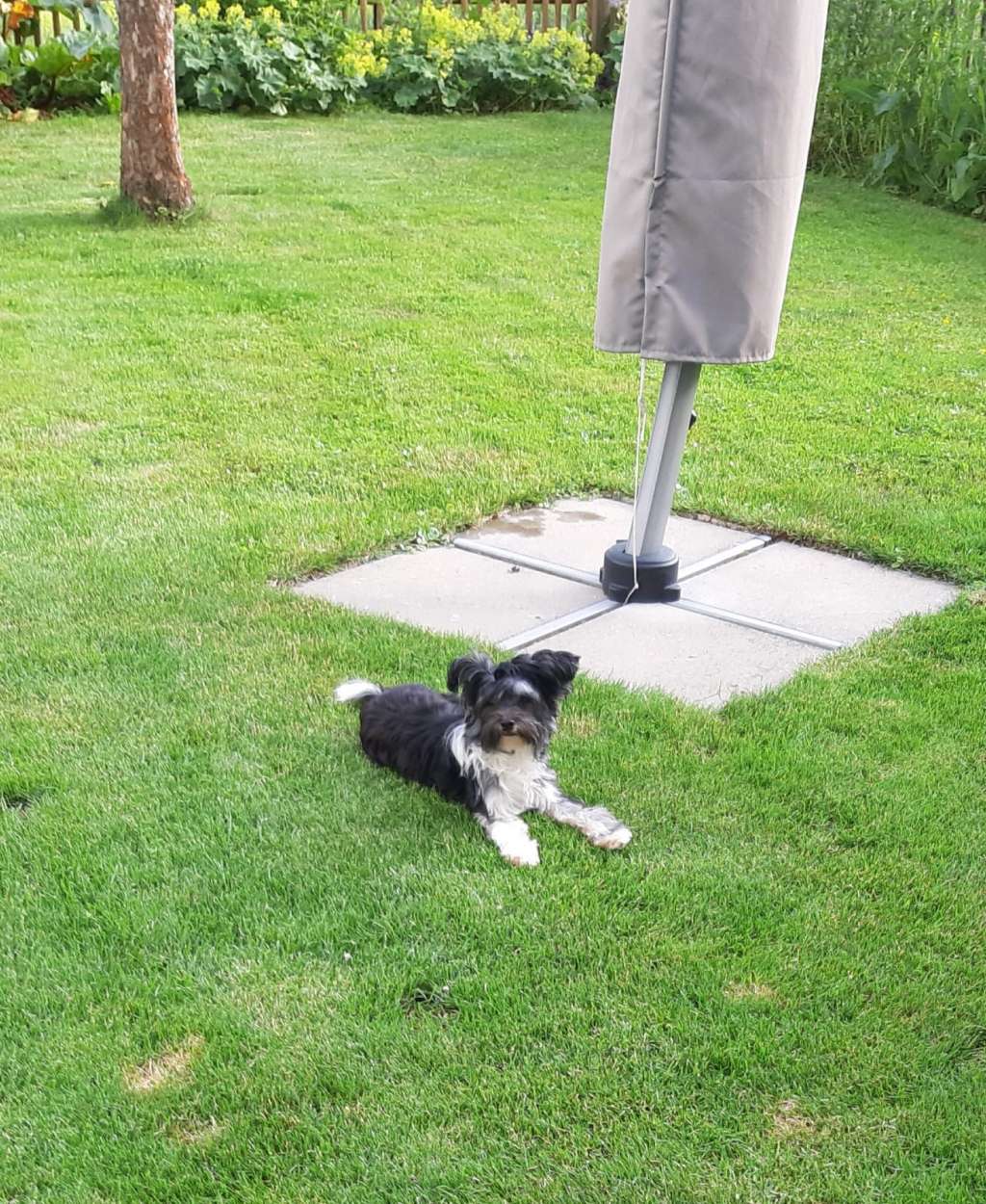 Bahia Azul in Terra Civis