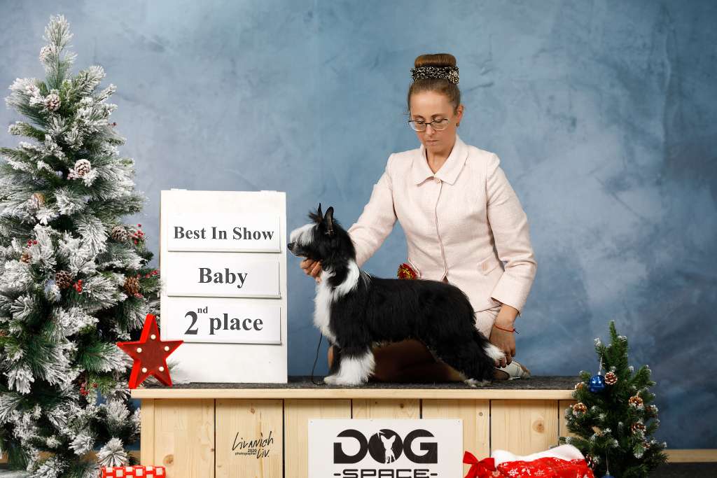 HitLine Ltd Lermontov