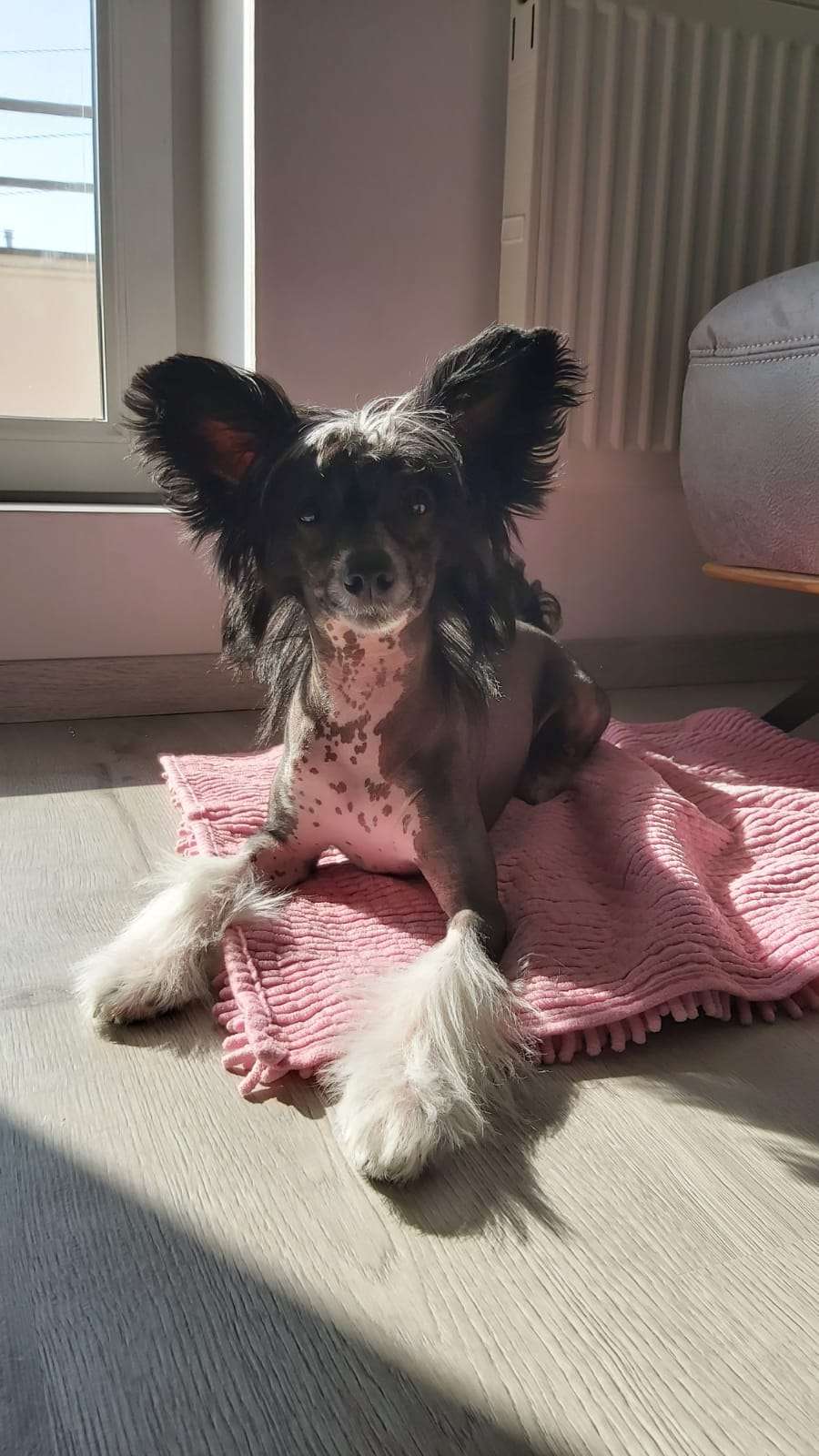 Nadire Diamond of the Night