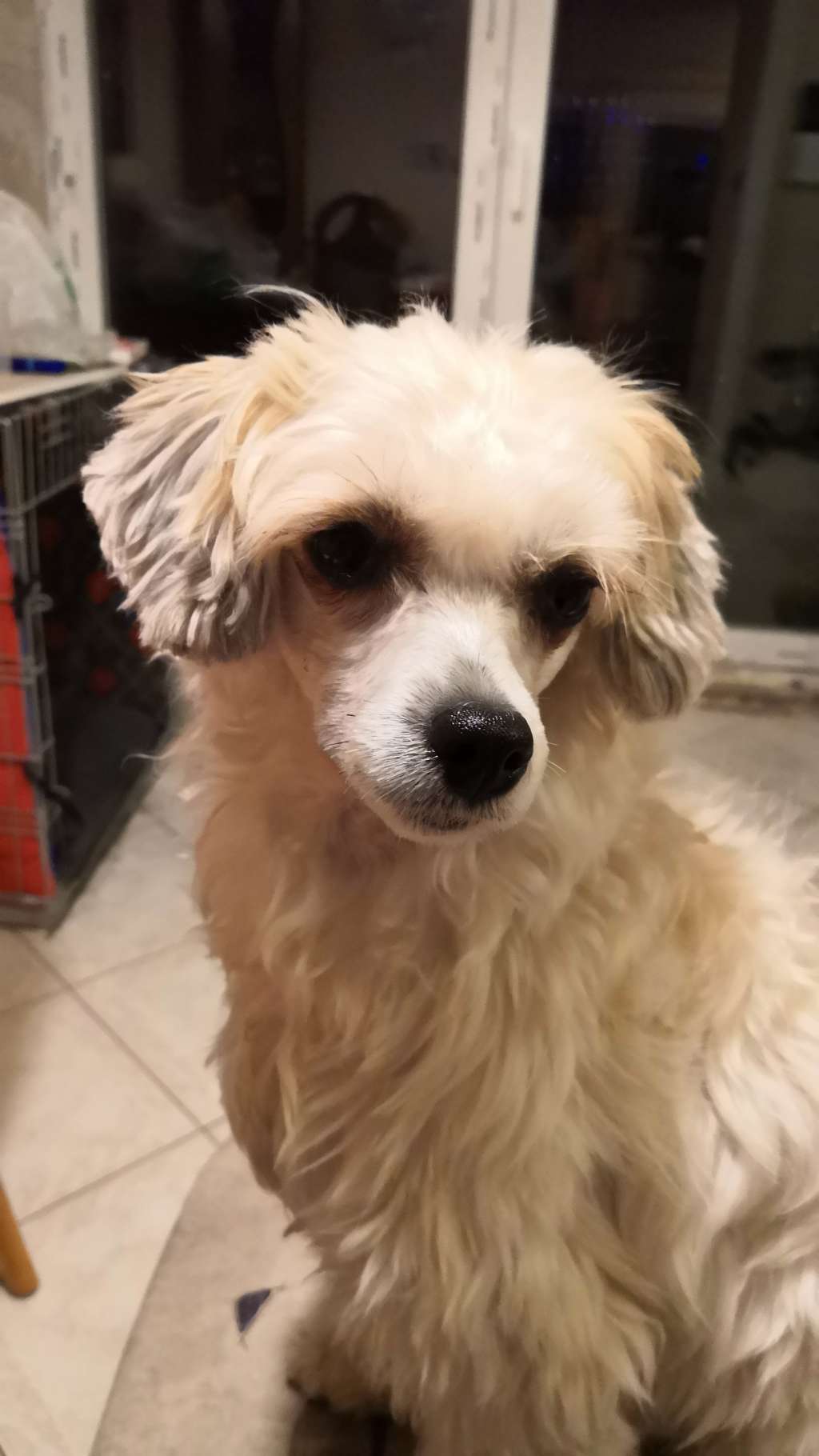 Sleeping Beauty Descente Dans La Folie