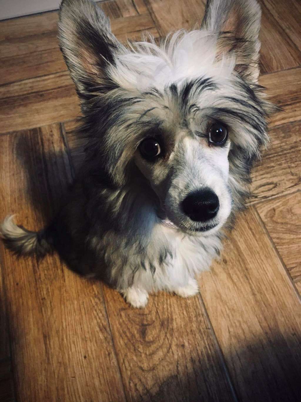 Scheherazade Descente Dans La Folie