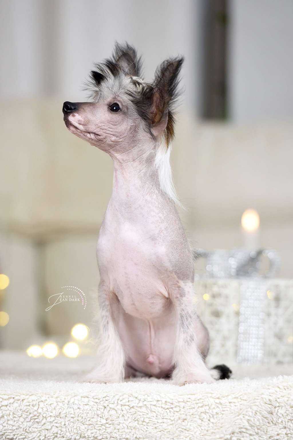 Jean Dark Version of Me