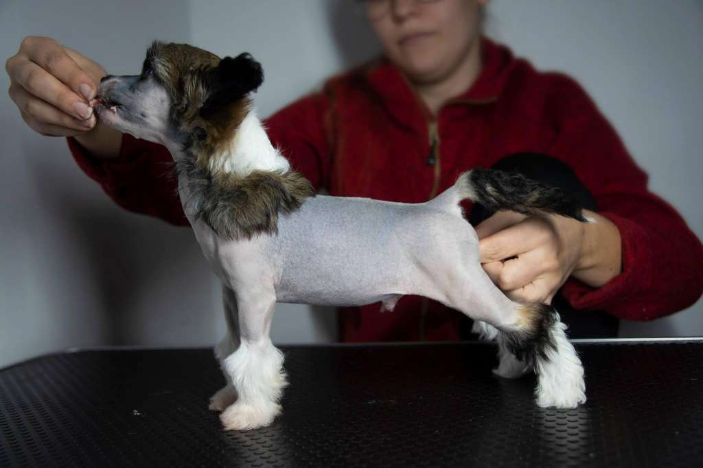 Ensidias I Don't Play I Slay