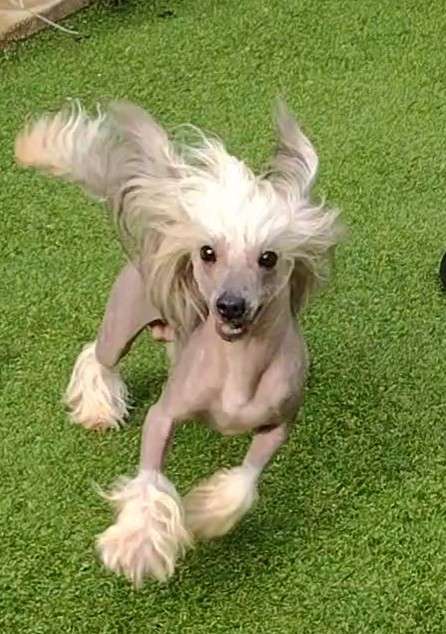 Ensidias You Me You Wish At Gemadar 2x BPIS, 1xRCC