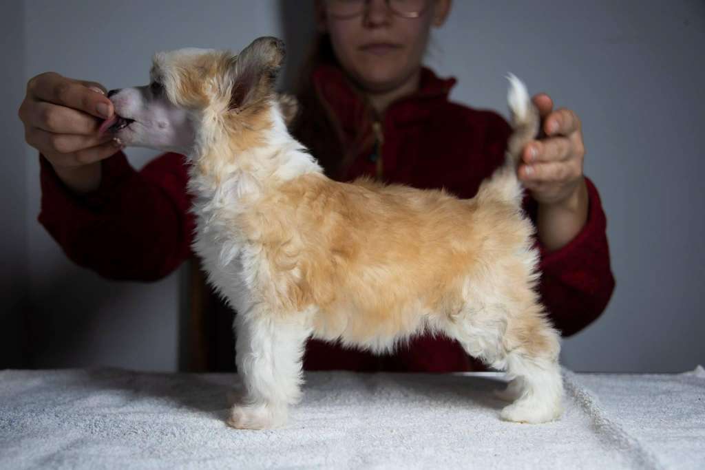 Ensidias Wave Wave Blow A Kiss