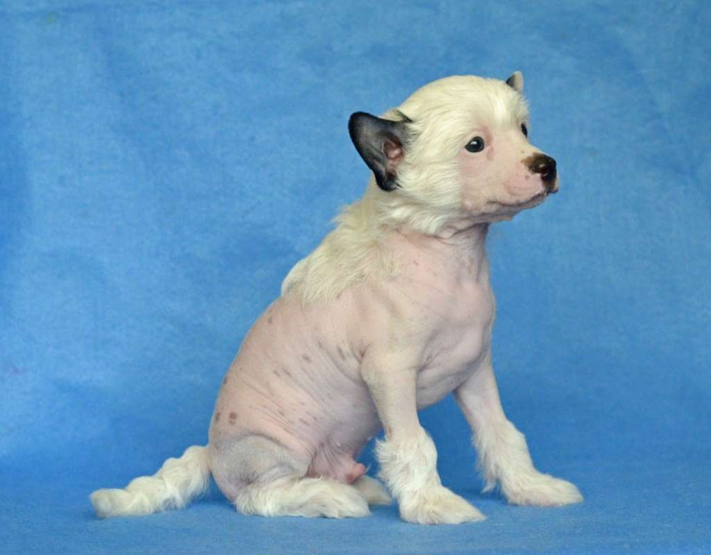 Olrif Inside My Heart