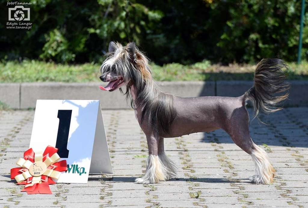 Dirty Diana Olyuti Gattaca