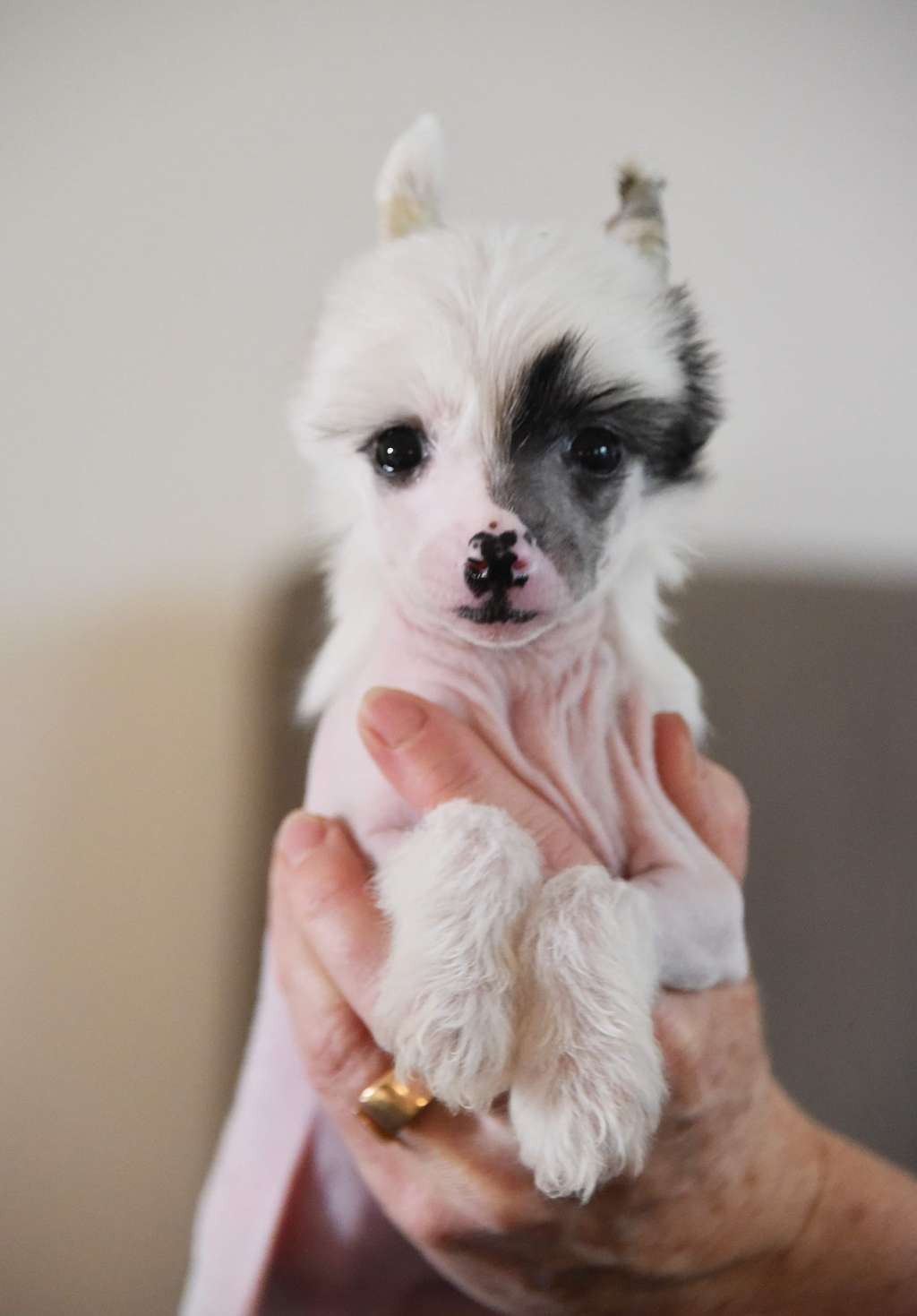 Jean Dark Winds of Change