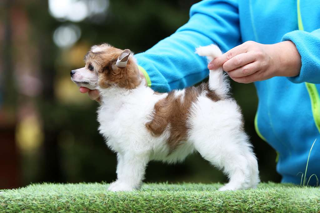 Incanto Del Mondo J'Adore Taisia