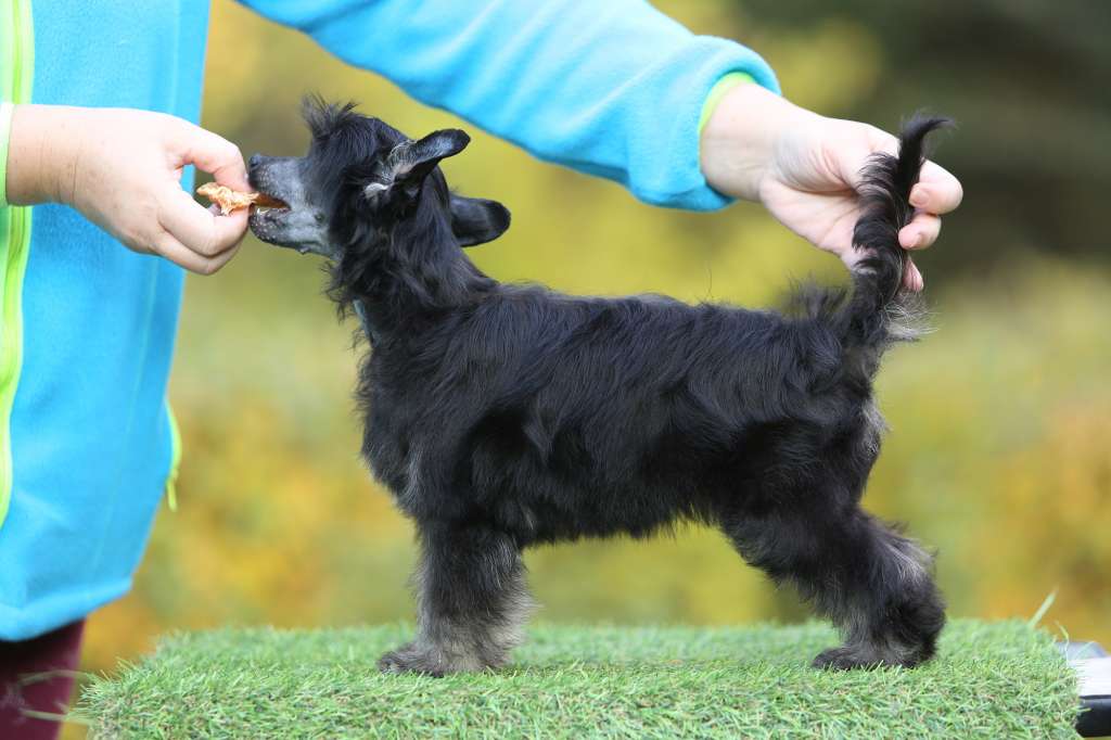 Incanto Del Mondo Ekaterina