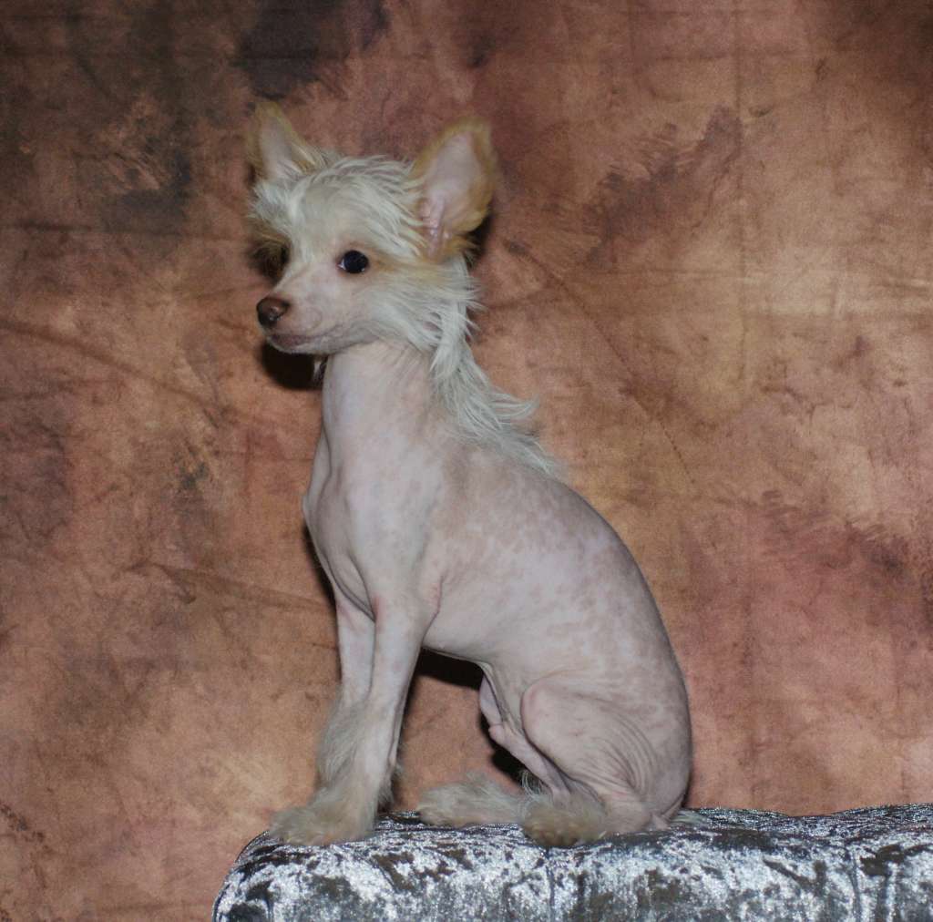 Curtis the bushwalker