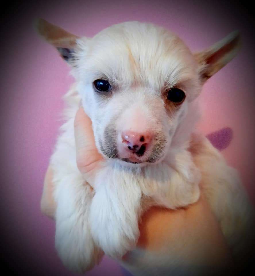 Concrete Clouds Friday The Thirteenth