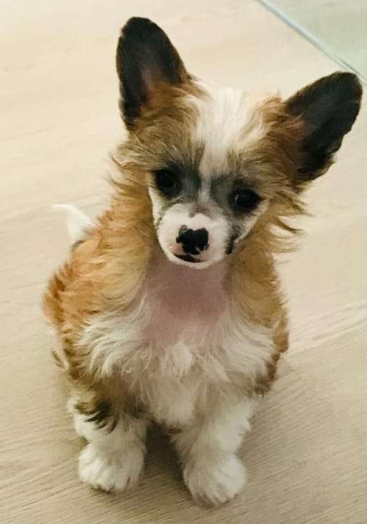 Concrete Clouds Pic Perfect