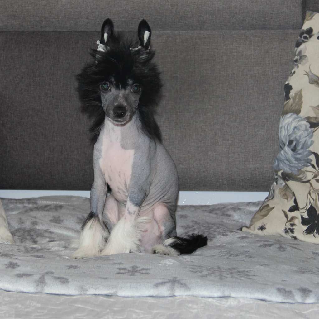 Blues So Close To Blue