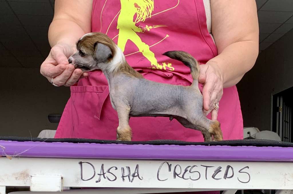 Dasha Kellyn Ruff Day Chardonnay