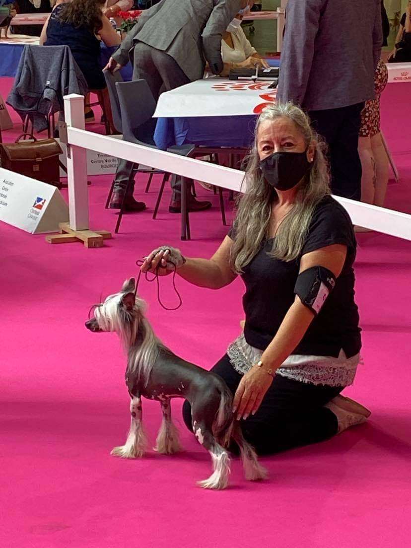 JCh. Chic To Chic Nessun Dorma