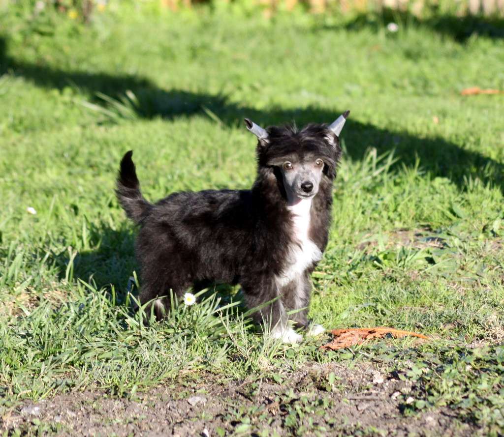 Moon Harbour Rock'n Roll