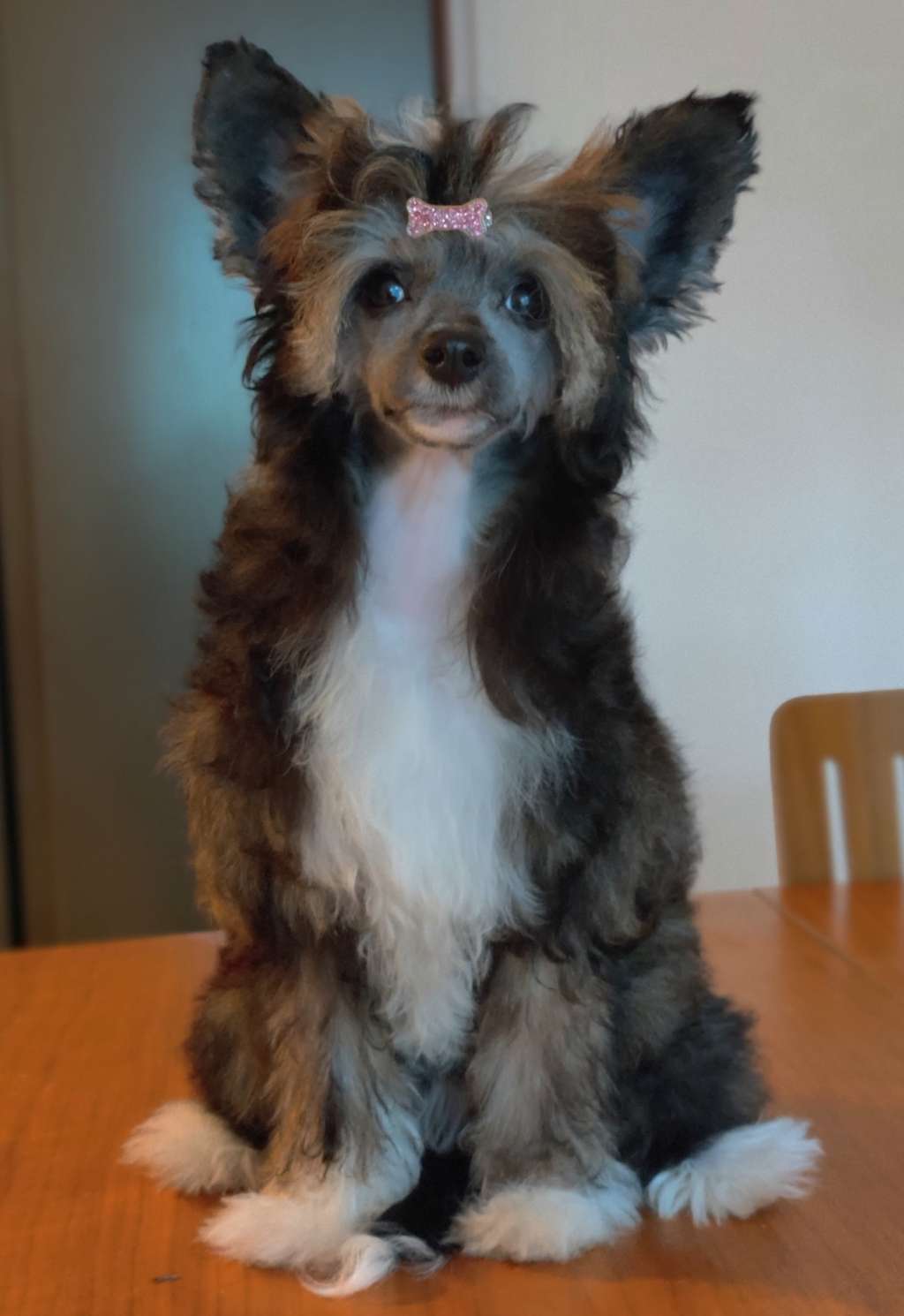 Eventyrvannets Prinsesse Minea