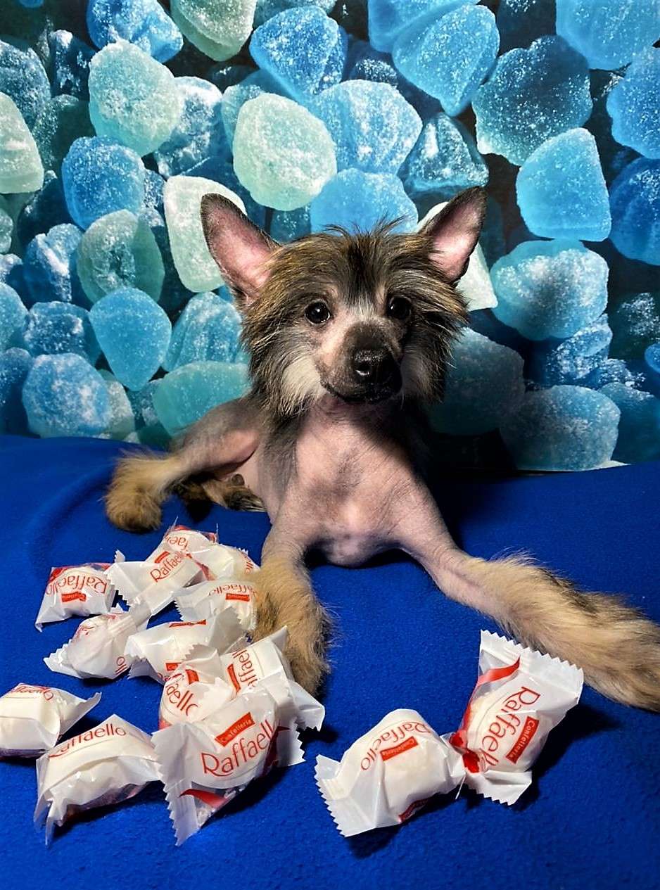 Charuyuschiy Soblazn Forward to victory