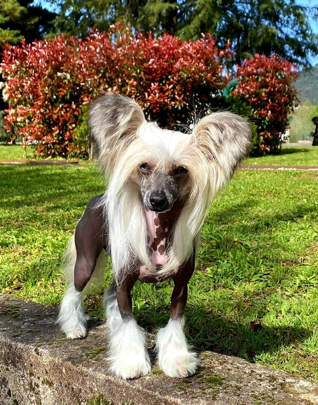 Heidy Hell z Jaromerského panství