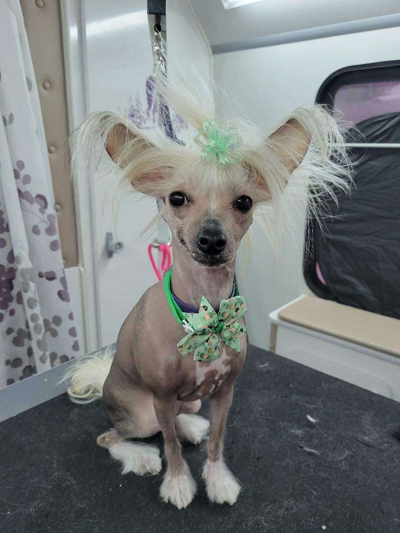 Olyuti's Desire for Love