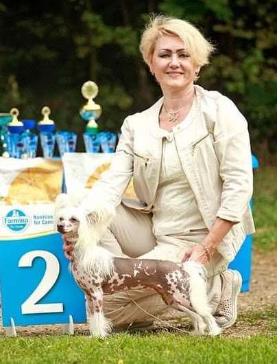 Ksolo Club Legenda Show Galaktiki