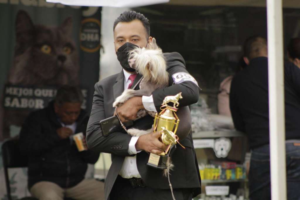 Ch jov Col Ec Pan Canine Pride World Alfonso