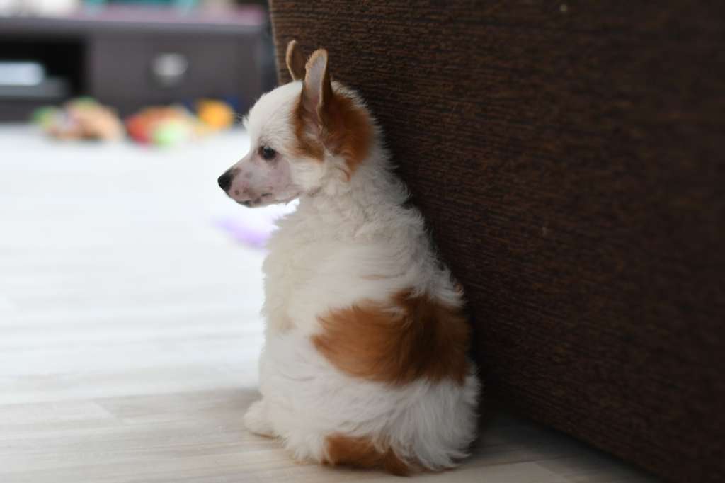 Ishtar Winning Smile