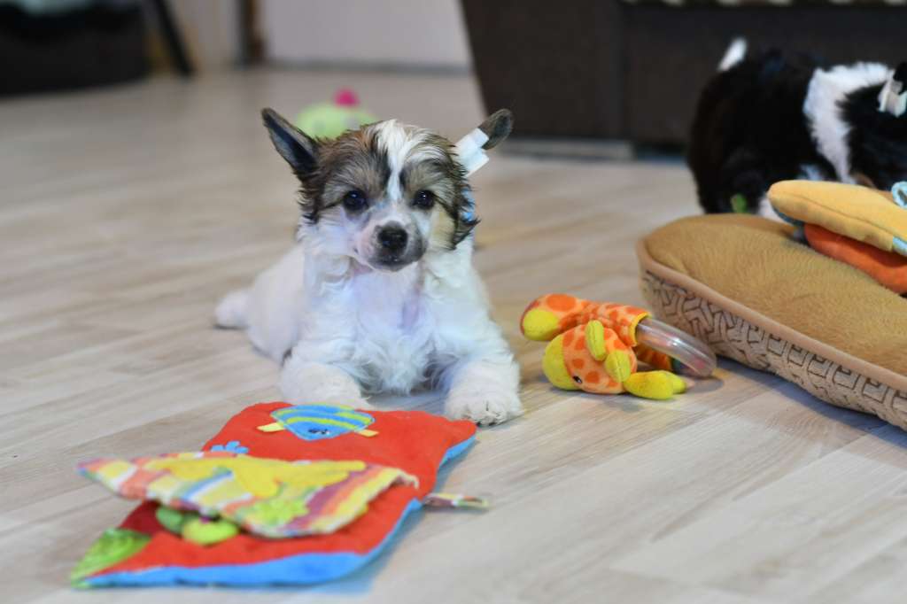 Lovely Winning Smile