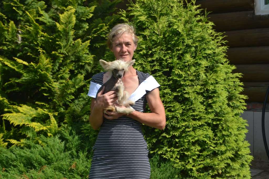 Landkris In my dreams