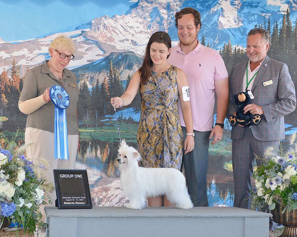 Cloudpointe Solve The Puzzle