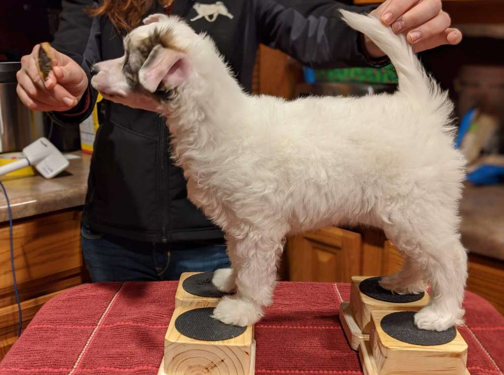 Cloudpointe Spin the Wheel