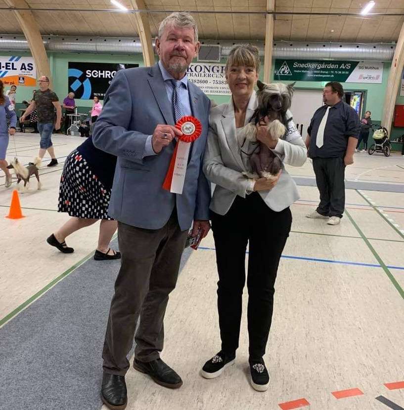 HitLine Ltd Giving Joy