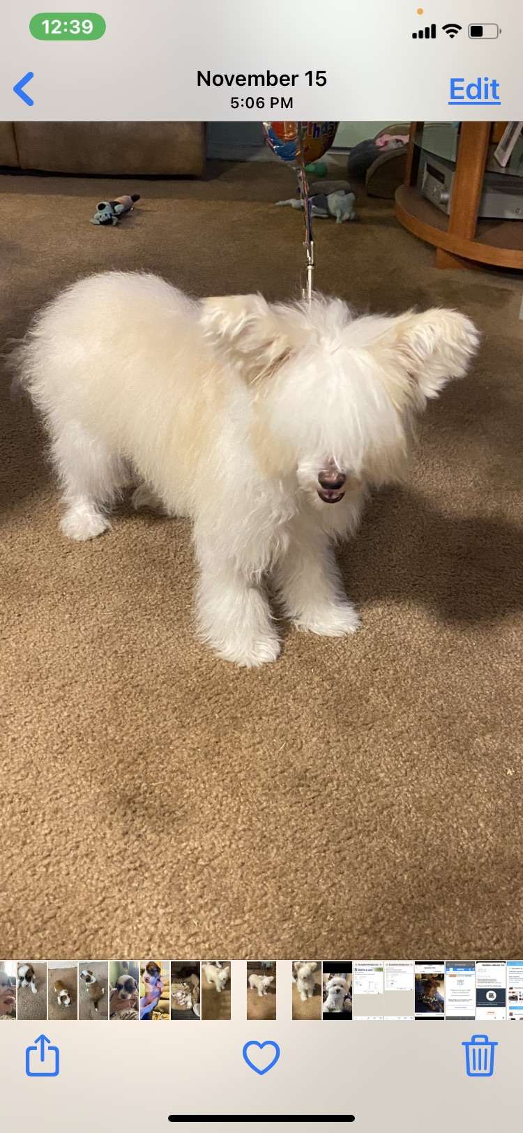 Naked Wonders Mister Tyler of Ponyville Cresteds