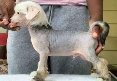 DeBahtrio-Spiritual 'Raised A Heathen