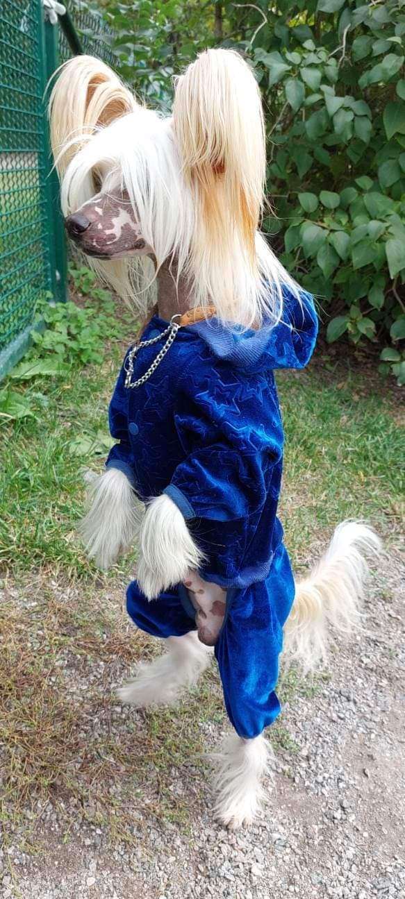 Izabel Crystals Garold