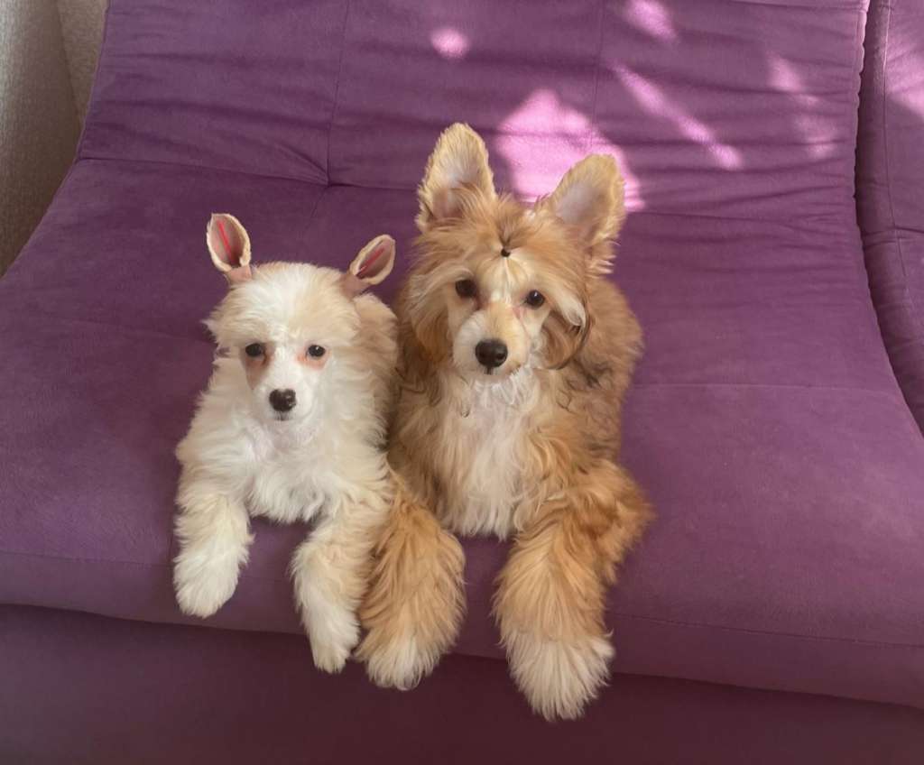 Ksolo Club Milky Way