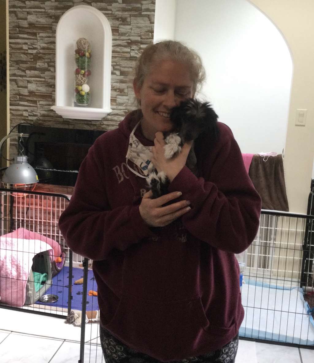 Sassytails Mademoiselle De Clairmont (CEC)